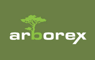 logo Arborex