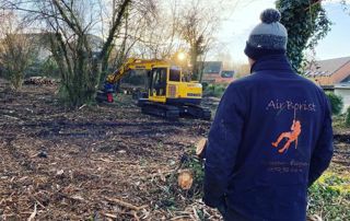 travaux de dessouchage à Charleroi