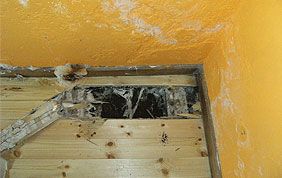 problème humidité sol