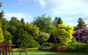 entreprise de jardin Charleroi