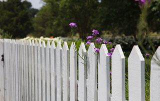 cloture jardin