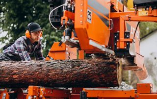 Tronc d'arbre et machine avec un ouvrier