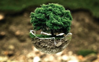 Journée mondiale environnement