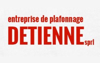 Logo Detinne