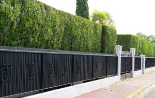clôtures en alu