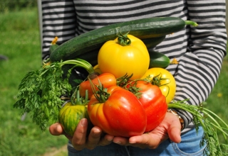 potager été charleroi