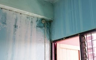 problème d'humidité au niveau des murs